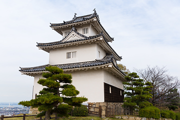 Image showing Japanese Marugame Castle