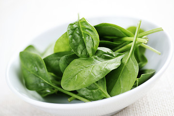 Image showing baby spinach