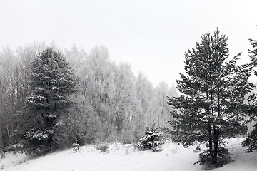 Image showing Winter season. Photo