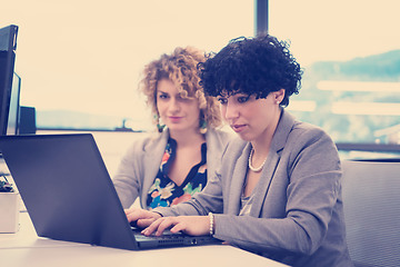 Image showing female software developers using laptop computer