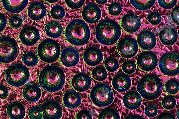 Image showing abstract water rainbow drops on the glass