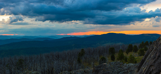 Image showing Landscape with dead forest