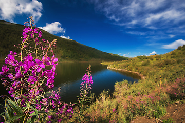 Image showing Lake in the Altai Mountains