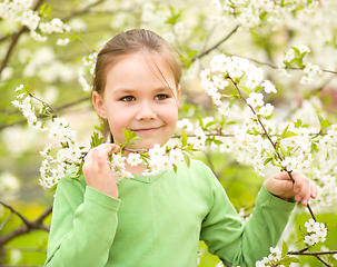 Image showing Portrait of a little girl near tree in bloom