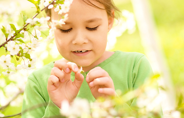 Image showing Portrait of a little girl near tree in bloom