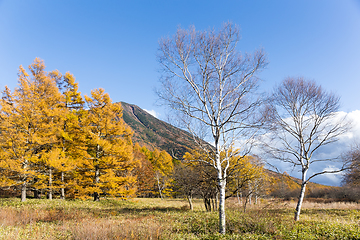 Image showing Beautiful landscape in Nikko