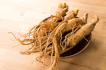 Image showing Ginseng