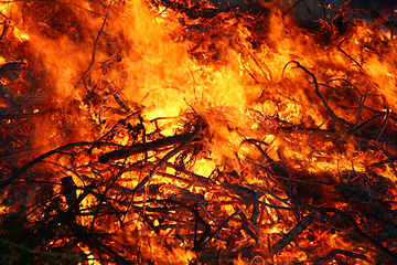 Image showing Detail of flames in an outdoor fire in Denmark