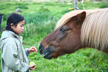 Image showing Child with horse