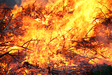 Image showing Detail of flames in an outdoor fire in Denmark