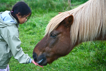 Image showing Child with horse