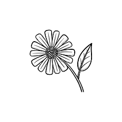 Image showing Daisy flower hand drawn sketch icon.