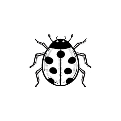 Image showing Ladybug hand drawn sketch icon.