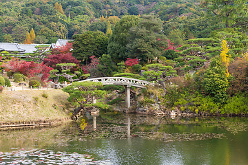 Image showing Japanese garden in autumn
