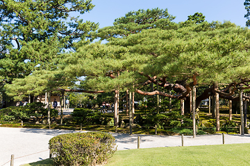 Image showing Kenrokuen garden in Kanazawa