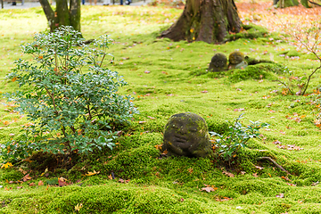 Image showing Japanese temple in autumn, Sanzenin Warabe Jizo