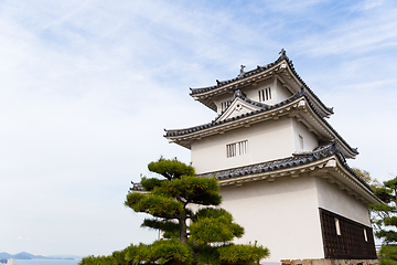 Image showing Marugame Castle in Japan