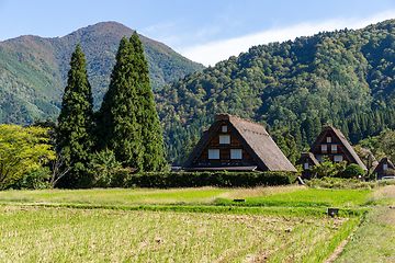 Image showing Shirakawago village in Japan