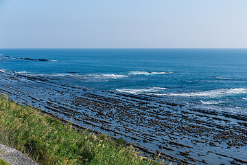 Image showing Aoshima Island coast