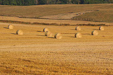 Image showing Field with hay ball in Sweden