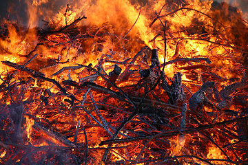 Image showing Detail of flames in an outdoor fire in Denmark