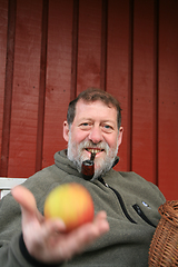 Image showing Mature scandinavian man outdoor with apples 