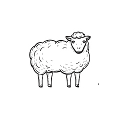 Image showing Sheep hand drawn sketch icon.