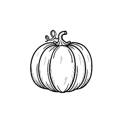 Image showing Pumpkin hand drawn sketch icon.