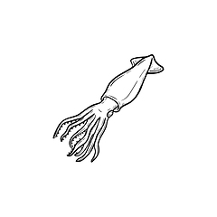 Image showing Squid hand drawn sketch icon.