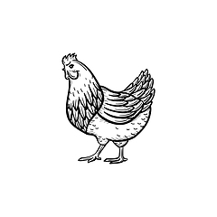 Image showing Chicken hand drawn sketch icon.