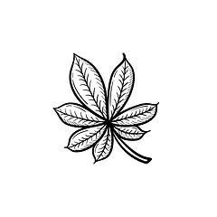 Image showing Chestnut leaf hand drawn sketch icon.