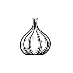 Image showing Garlic hand drawn sketch icon.