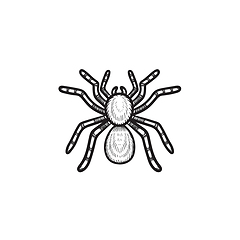 Image showing Spider tarantula hand drawn sketch icon.