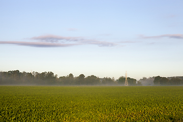 Image showing High-voltage power lines