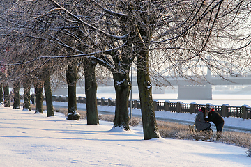 Image showing View of Riga in winter season.