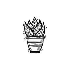 Image showing Sansevieria trifasciata hand drawn sketch icon.