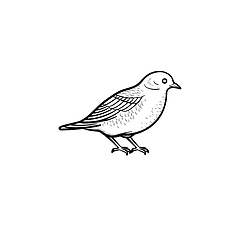 Image showing Bird hand drawn sketch icon.