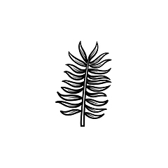 Image showing Leaves of palm tree hand drawn sketch icon.