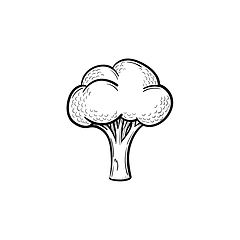 Image showing Broccoli hand drawn sketch icon.