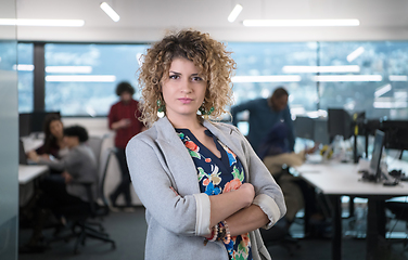 Image showing portrait of young female software developer