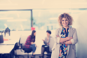 Image showing Portrait of successful female software developer