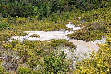 Image showing geothermal activity at Whakarewarewa Rotorua New Zealand