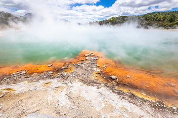 Image showing hot sparkling lake in New Zealand