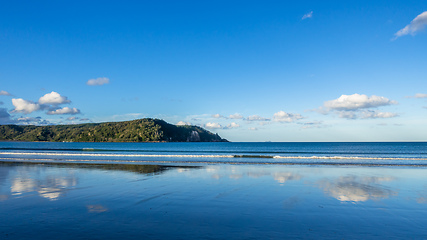 Image showing Bay Of Plenty