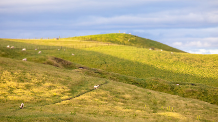 Image showing sunset landscape New Zealand north island