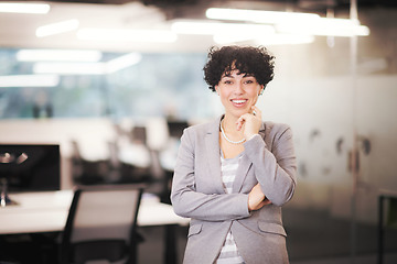 Image showing Portrait of successful female software developer