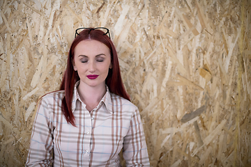 Image showing portrait of young redhead business woman