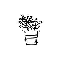 Image showing Ficus in a pot hand drawn sketch icon.