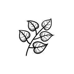 Image showing Linden leaves on branch hand drawn sketch icon.