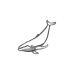 Image showing Whale hand drawn sketch icon.